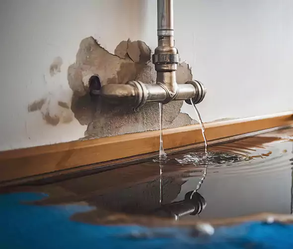 Professional Water Damage Restoration Experts in Waltham, MA — Fast, Reliable & Certified