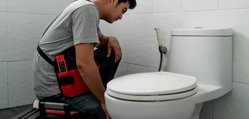 Toilet Repair in Waltham