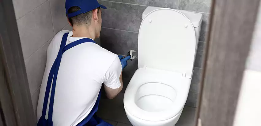 Toilet Lid Replacement in Waltham