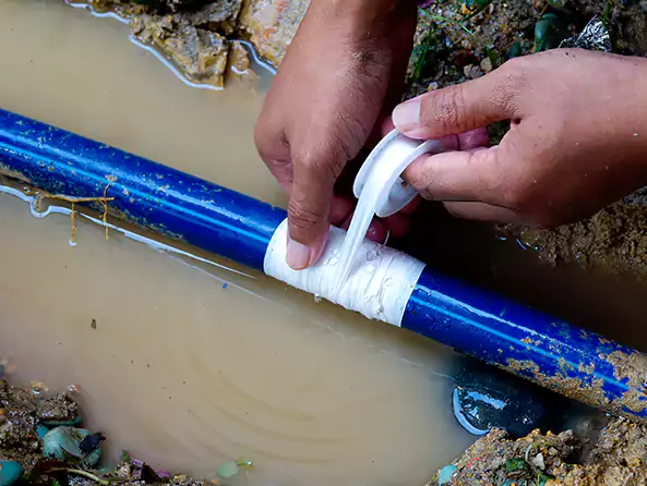  Why Choose Waltham Plumbing Pros for Leak Detection in Waltham, MA?]