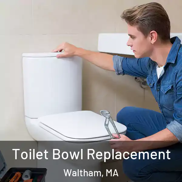  Toilet Bowl Replacement Waltham, MA