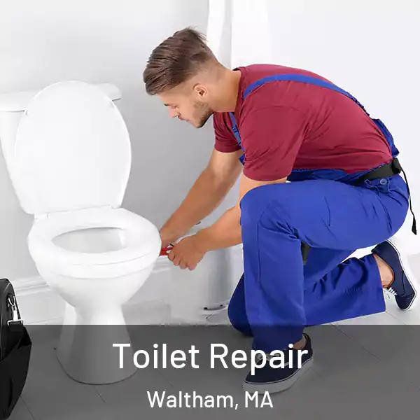  Toilet Repair Waltham, MA
