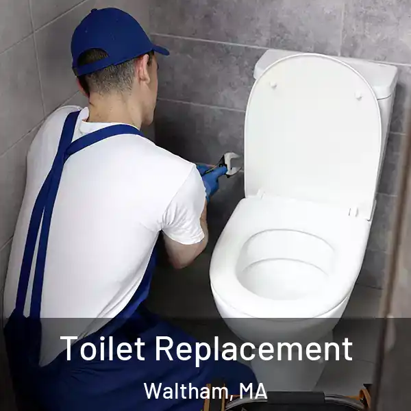  Toilet Replacement Waltham, MA