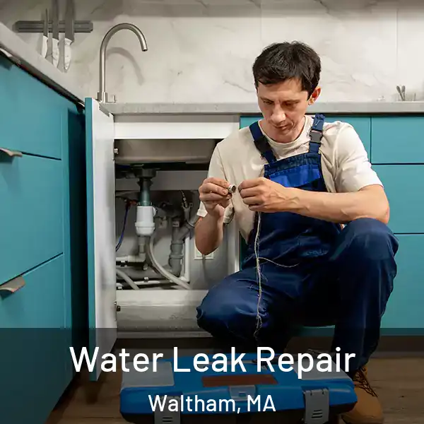  Water Leak Repair Waltham, MA